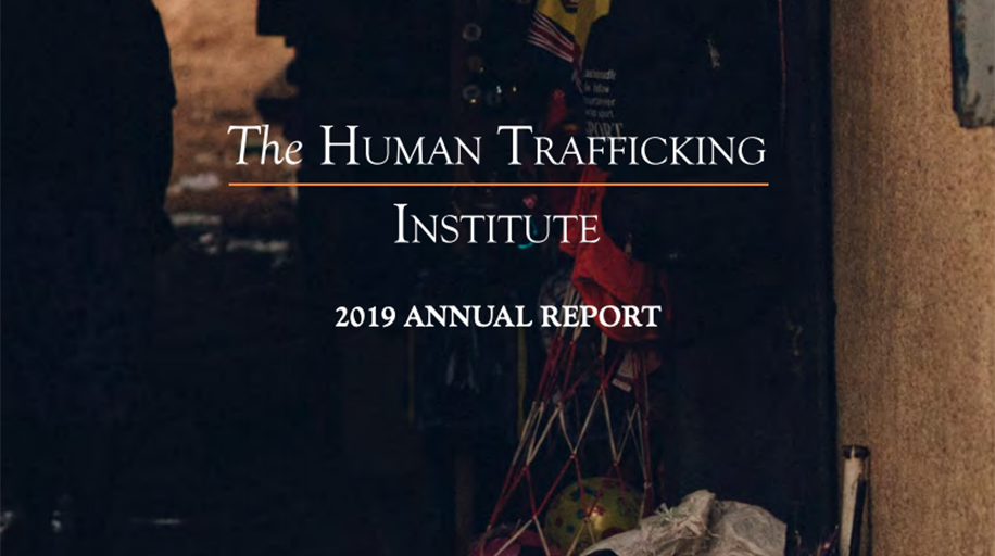 The Institute’s 2019 Annual Report is now available