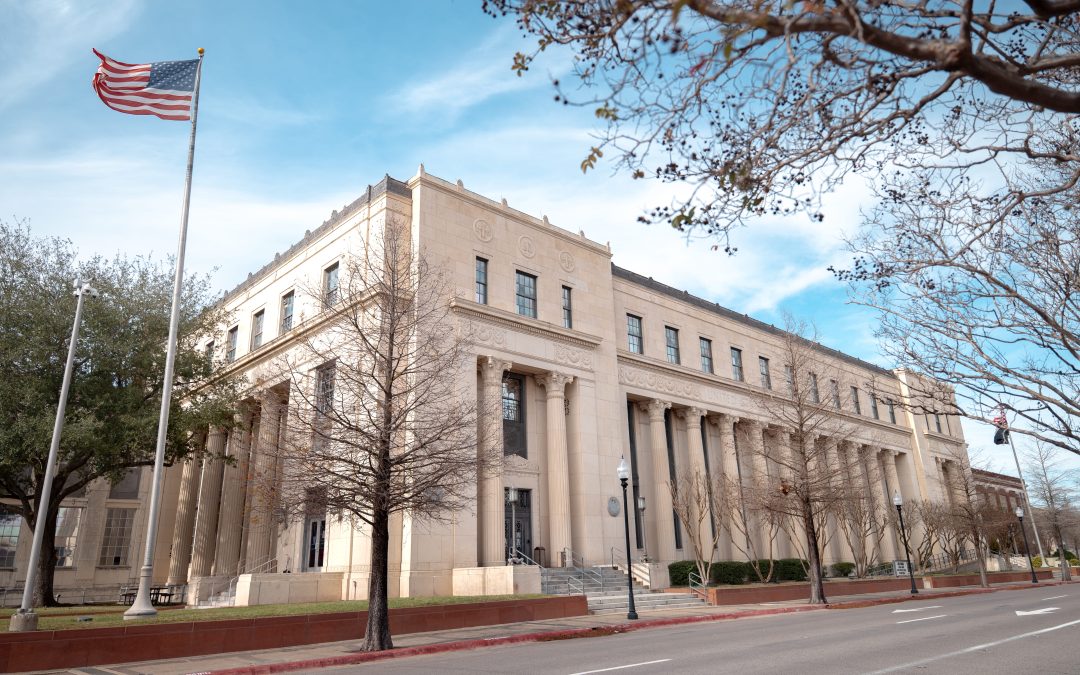 A Year of Progress: Building Stronger Human Trafficking Responses in Texas 